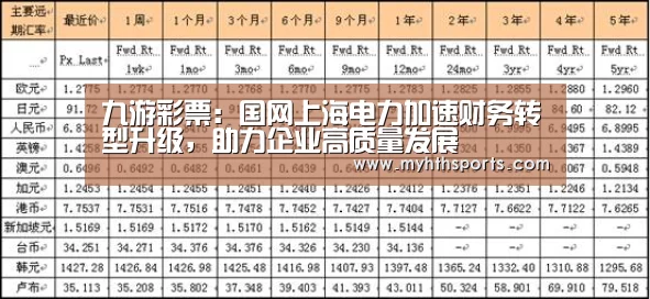 九游彩票:国网上海电力加速财务转型升级,助力企业高质量发展(图1) 九游彩票