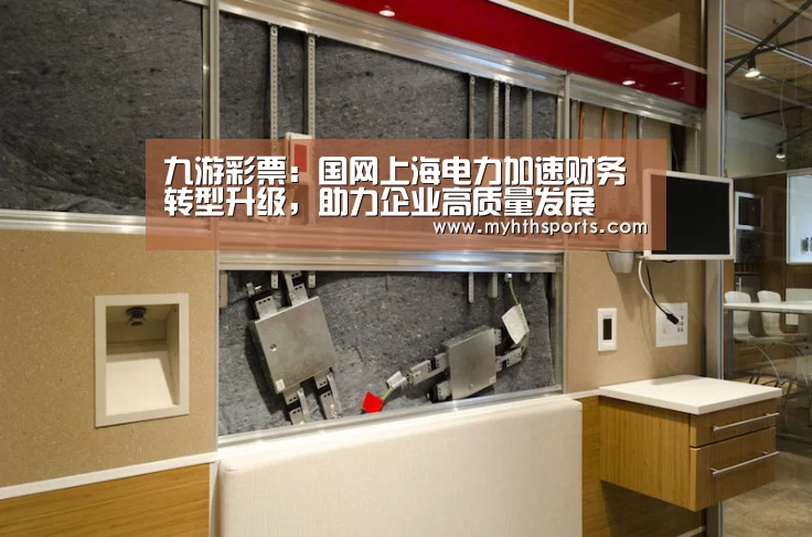 九游彩票:国网上海电力加速财务转型升级,助力企业高质量发展(图2) 九游彩票