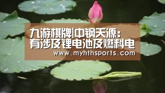 九游棋牌|中钢天源:有涉及锂电池及燃料电池的业务(图2) 九游棋牌|中钢天源:有涉及锂电池及燃料电池的业务(图2)