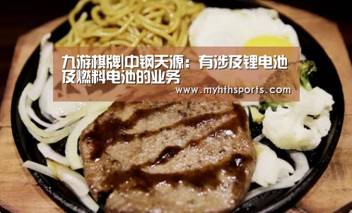 九游棋牌|中钢天源:有涉及锂电池及燃料电池的业务(图4) 九游棋牌